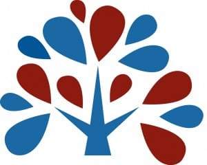 Center for Cardiovascular Health