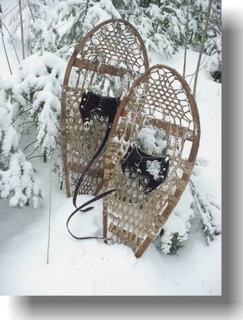 snowshoes